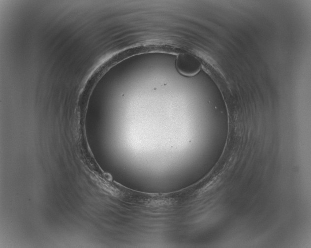 X0000062671021200512281733