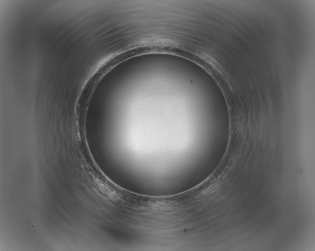 X0000062671022200512281733