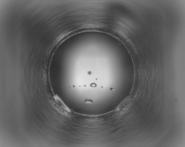 X0000062671025200512281733