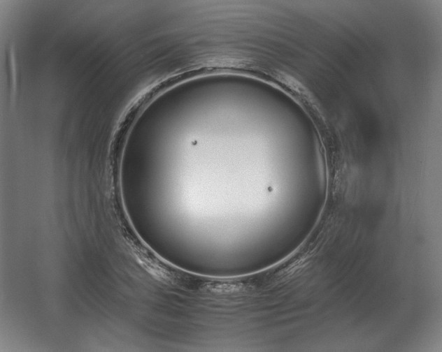 X0000062671027200512281733