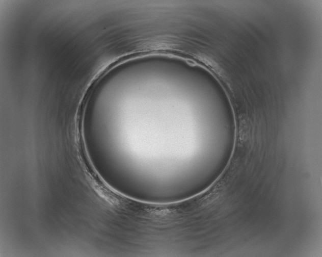 X0000062671031200512281734