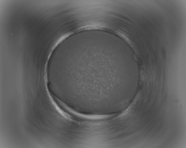 X0000062671034200512281734