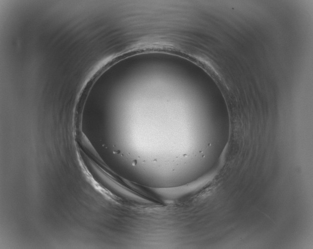 X0000062671038200512281734