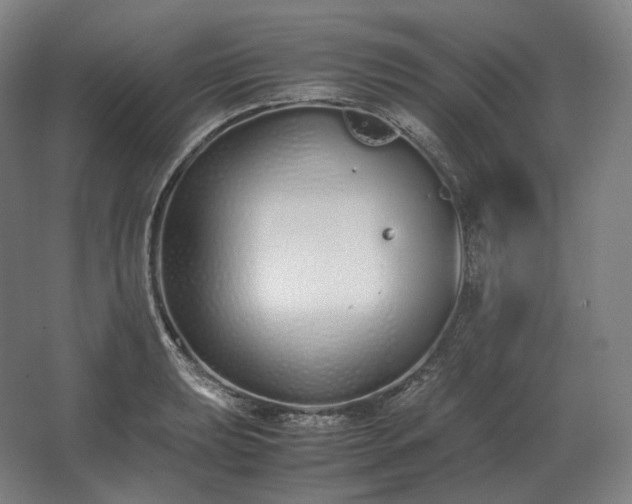 X0000062671039200512281734