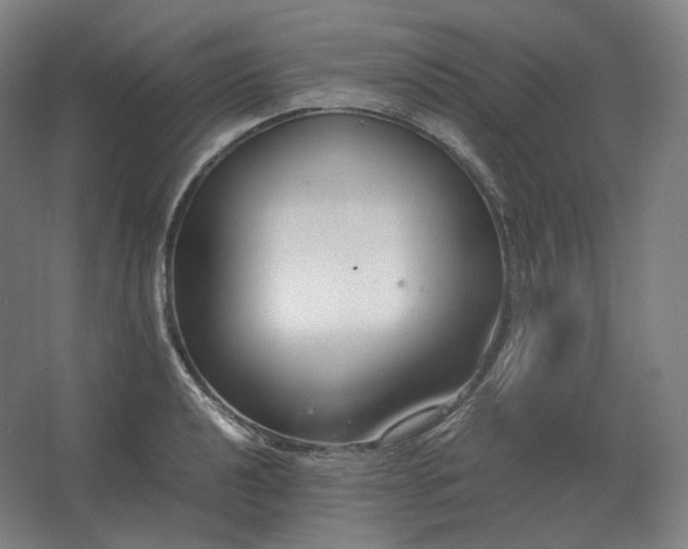 X0000062671040200512281734