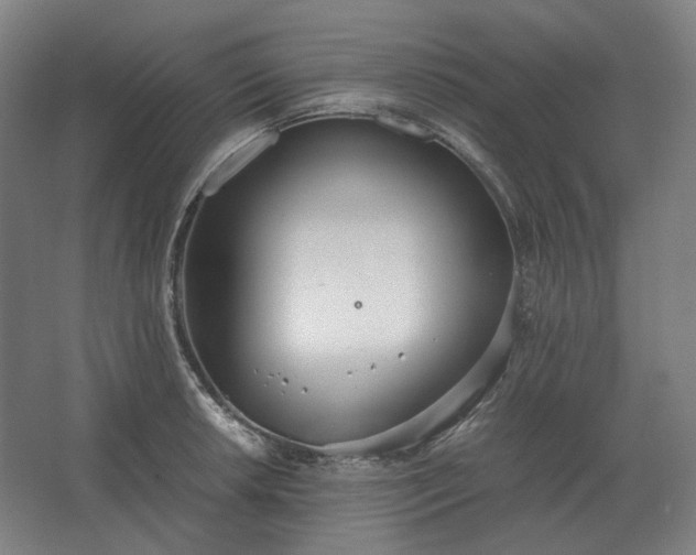 X0000062671042200512281734