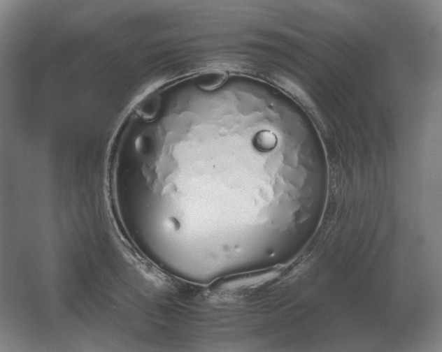 X0000062671043200512281734