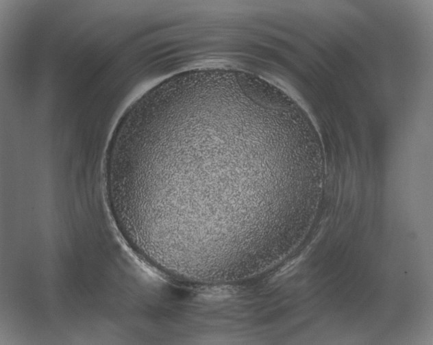 X0000062671045200512281734