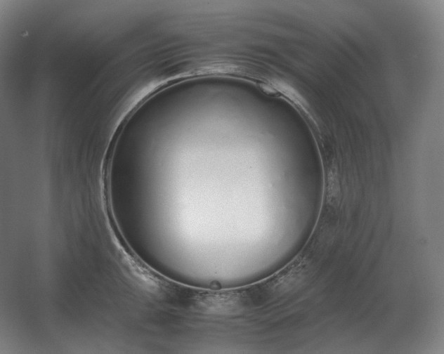 X0000062671047200512281734