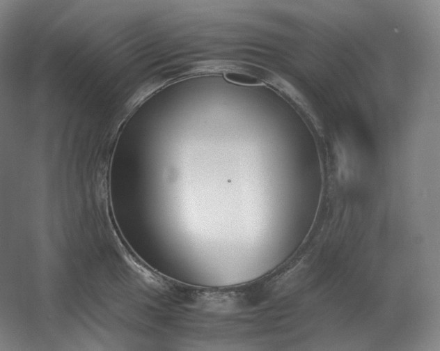 X0000062671049200512281734