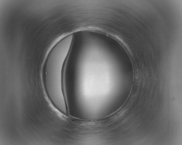 X0000062671054200512281734