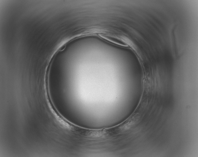 X0000062671055200512281734