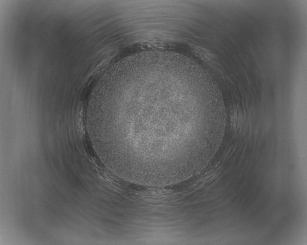 X0000062671060200512281733