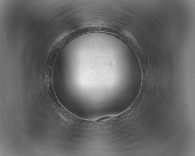 X0000062671064200512281733