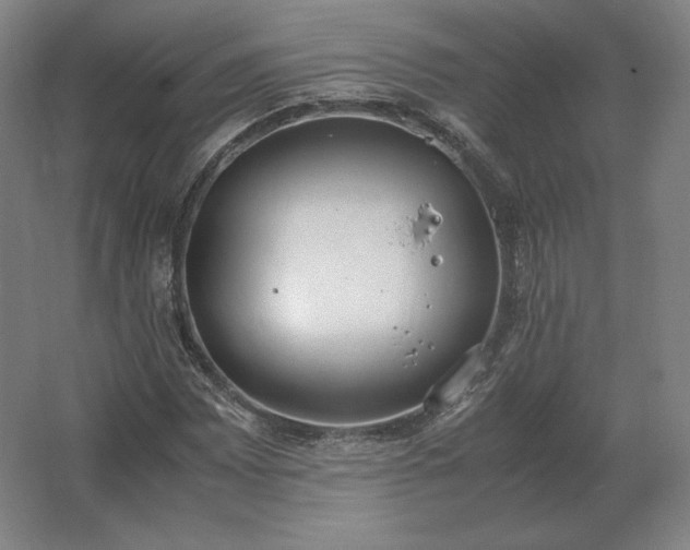 X0000062671065200512281733