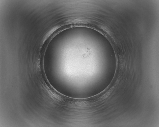 X0000062671066200512281733