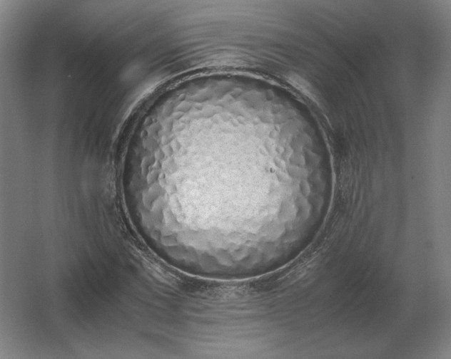 X0000062671067200512281733