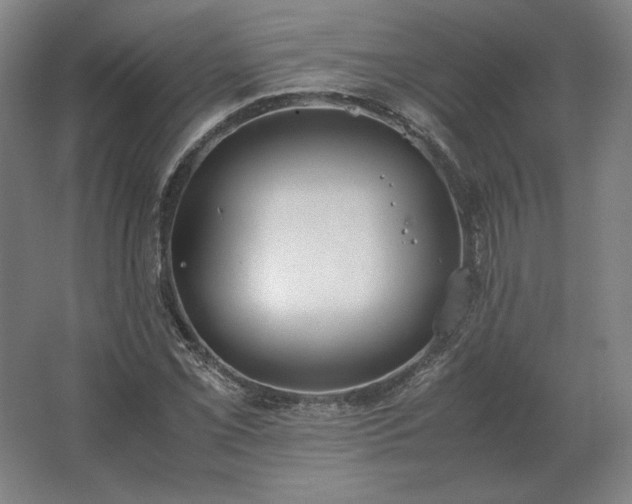 X0000062671069200512281733