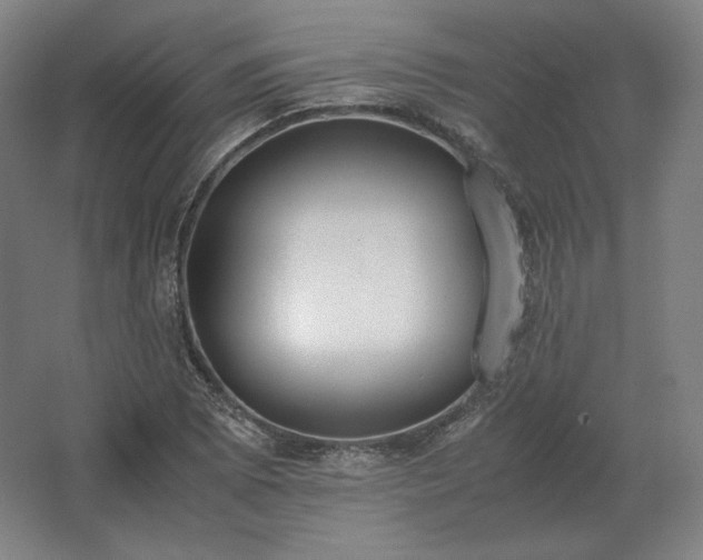 X0000062671073200512281733