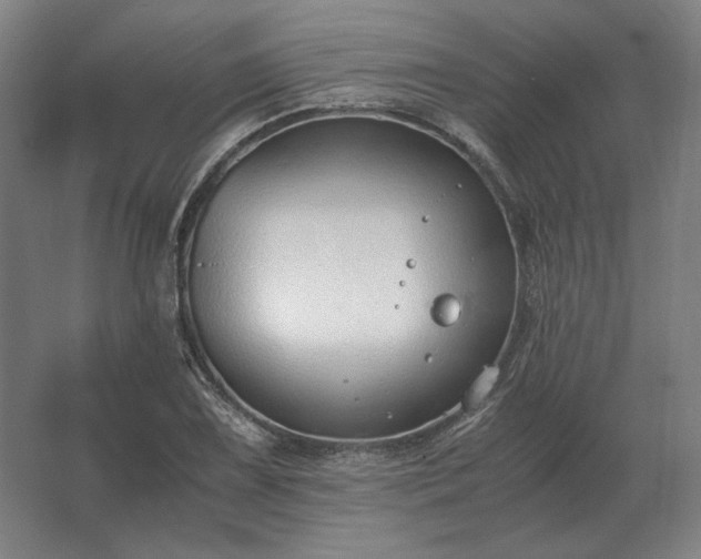 X0000062671075200512281733