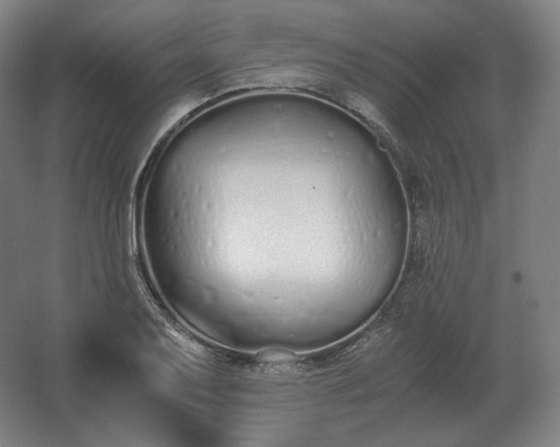 X0000062671079200512281733