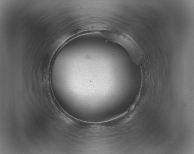 X0000062671081200512281733