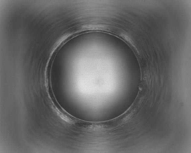 X0000062671082200512281733