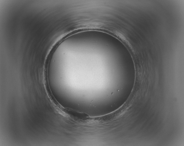 X0000062671085200512281733