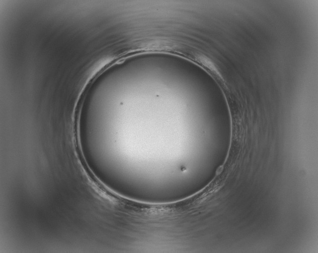 X0000062671087200512281733