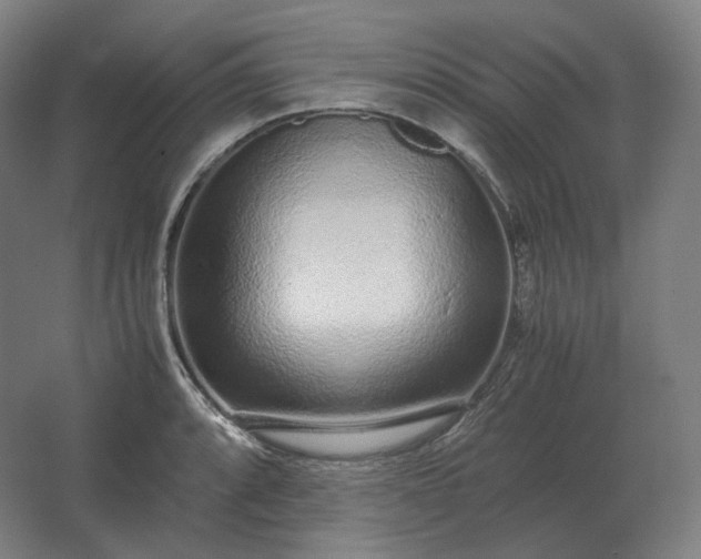 X0000062671088200512281733