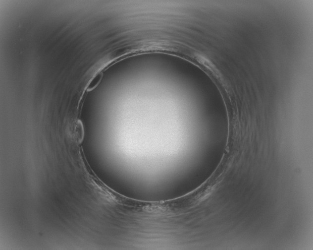 X0000062671089200512281733