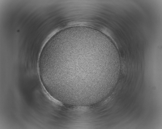 X0000062671090200512281733