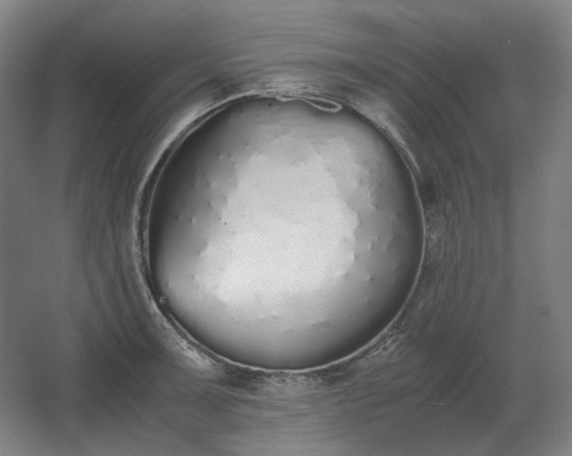 X0000062671091200512281733