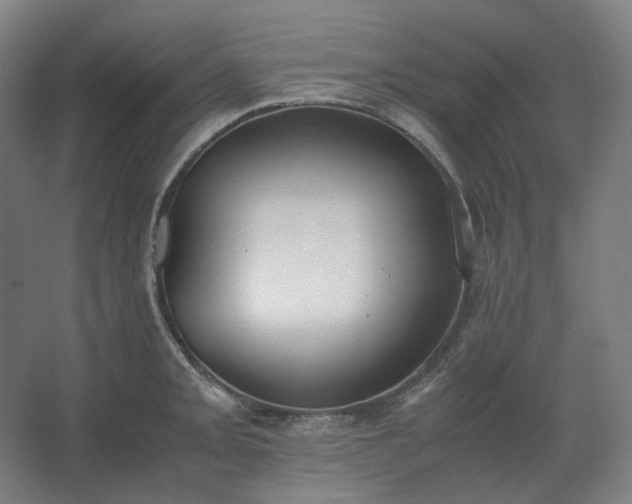 X0000062671093200512281733