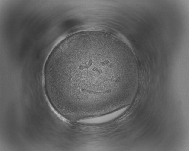 X0000062671095200512281732