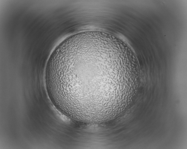 X0000062671098200512281732