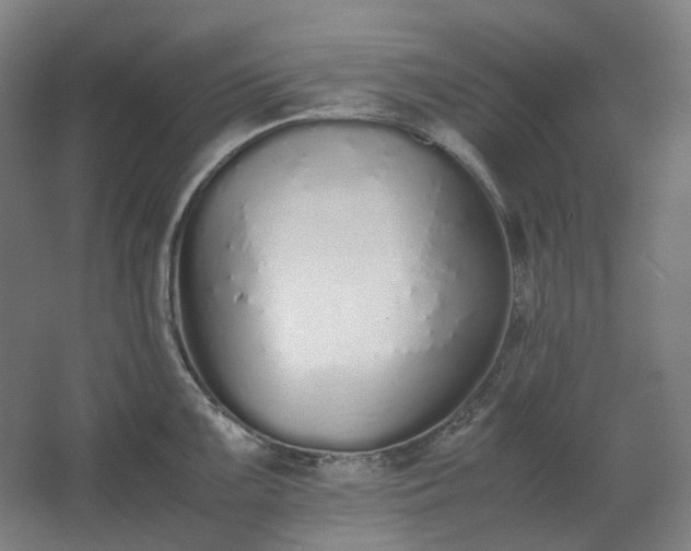 X0000062671099200512281732