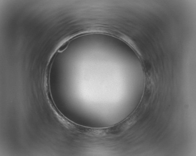 X0000062671101200512281732