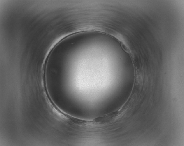 X0000062671102200512281732