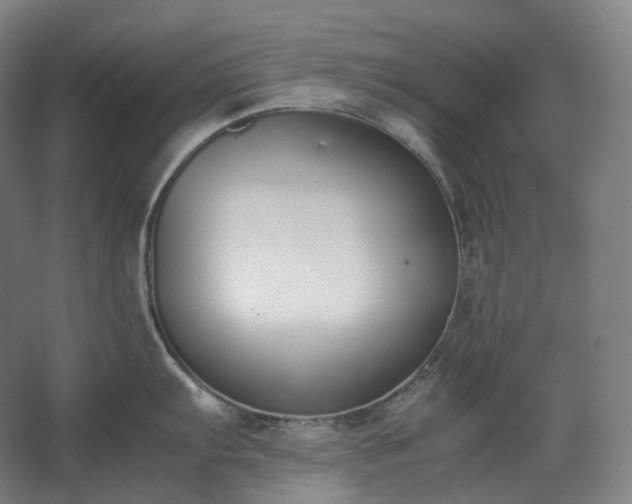 X0000062671103200512281732