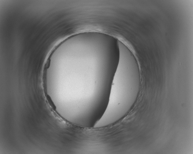 X0000062671104200512281732