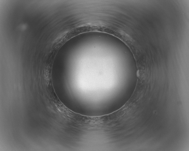 X0000062671110200512281732