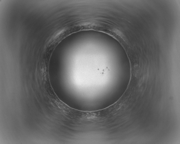 X0000062671111200512281732