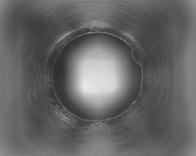 X0000062671112200512281732