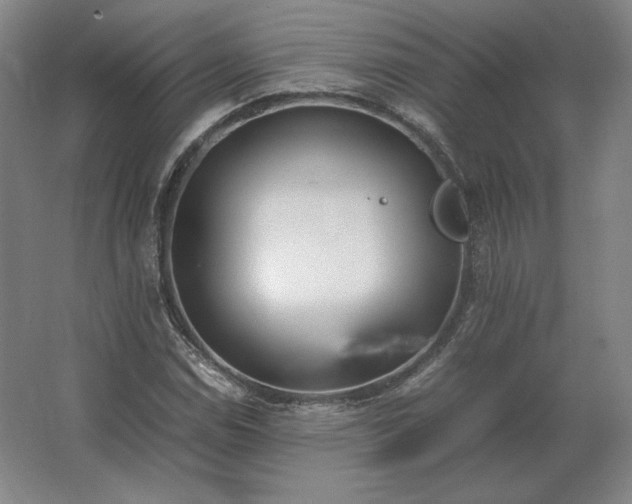 X0000062671114200512281732