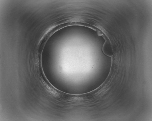 X0000062671115200512281732