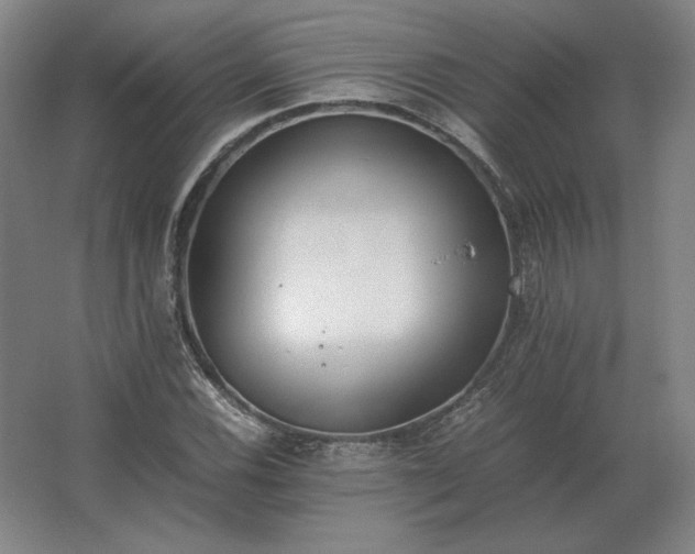 X0000062671116200512281732