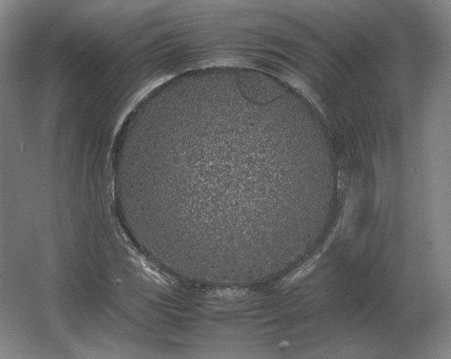 X0000062671117200512281732