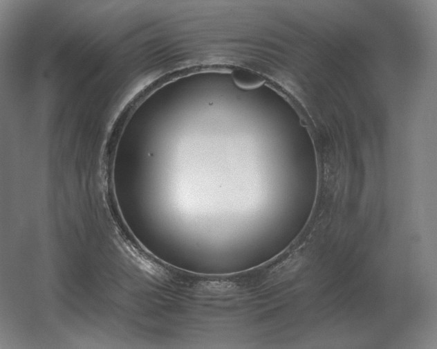 X0000062671119200512281732