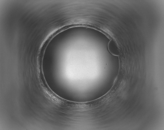 X0000062671120200512281732